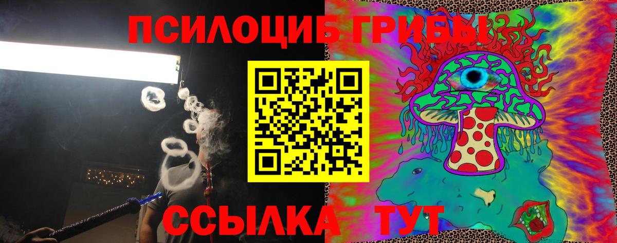 Ипатово  Галлюциногенные грибы Psilocybe  Вход с VPN 